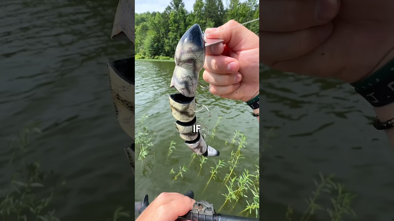 The Most Intimidating Bass Lure Ever 😨