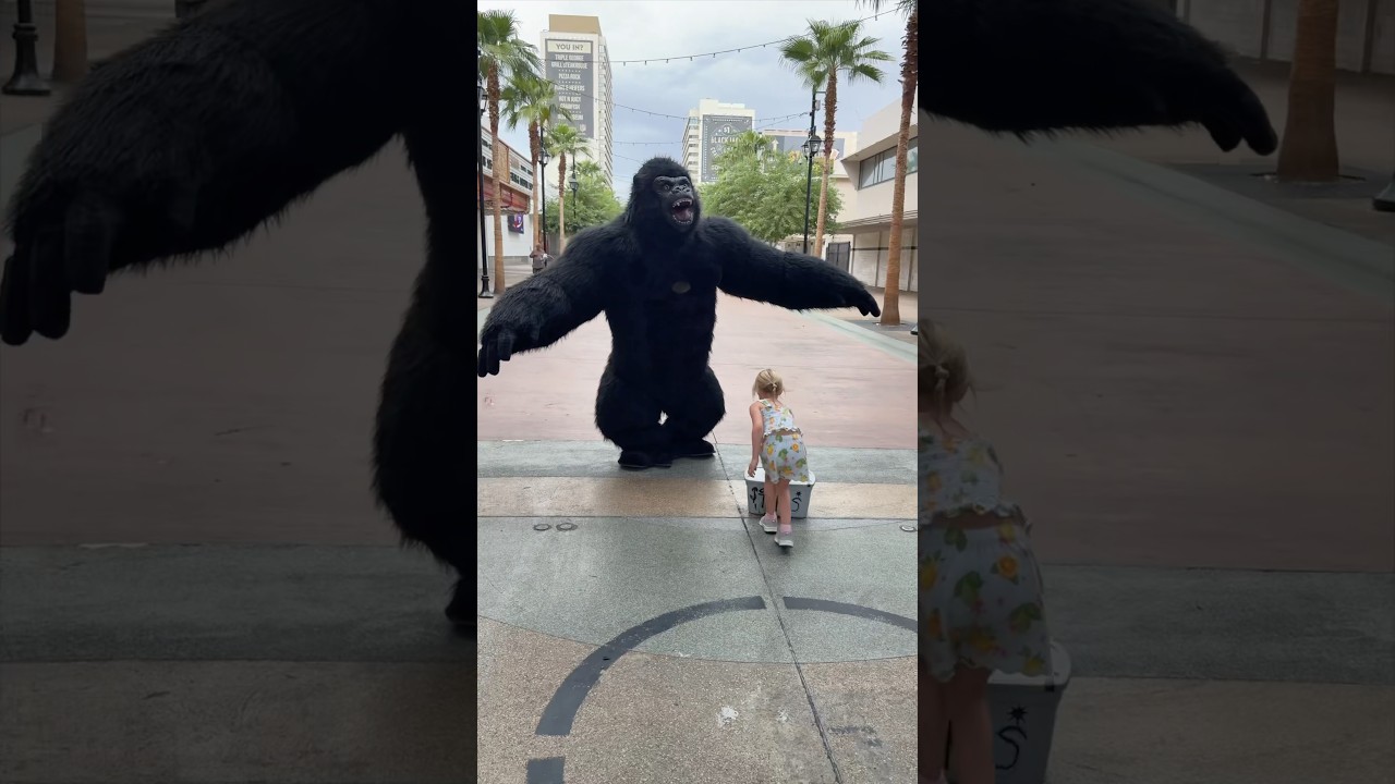 Gorilla Snatches Woman! 🦍