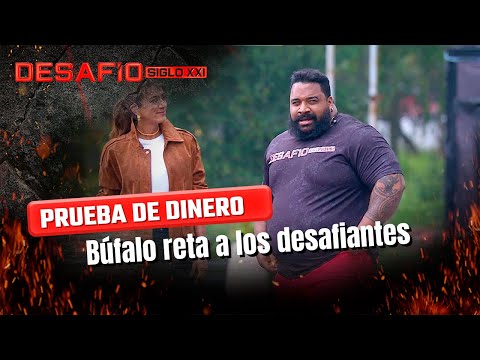 Búfalo en el Desafío: hala una tractomula y los competidores hacen lo mismo  | Desafío del Siglo