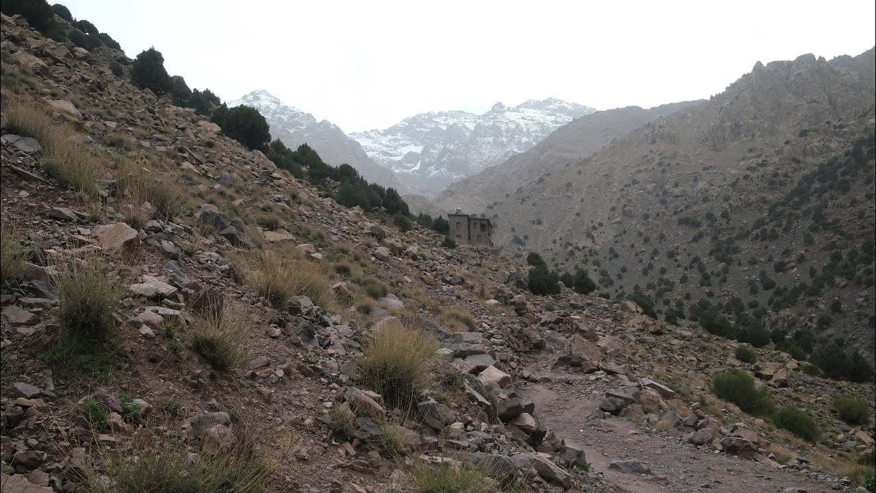 Marrakech to M'Hamid: High Atlas Adventure 🏞️