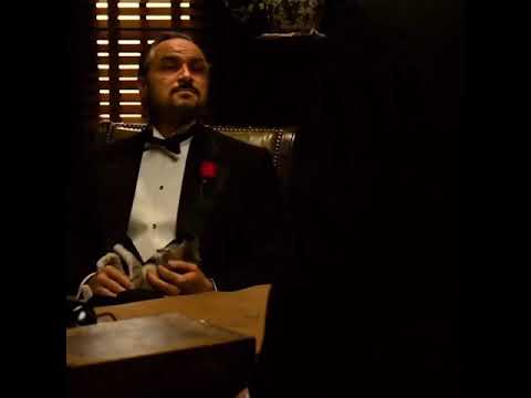 Egyptian actor in Hollywood