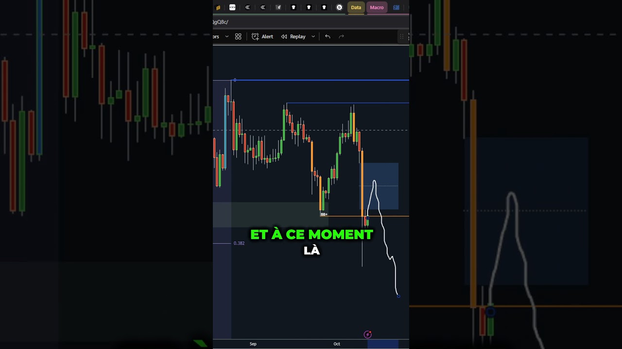 Analyse du Crash Historique des Cryptomonnaies : Bilan et Leçons à Retenir 🚨