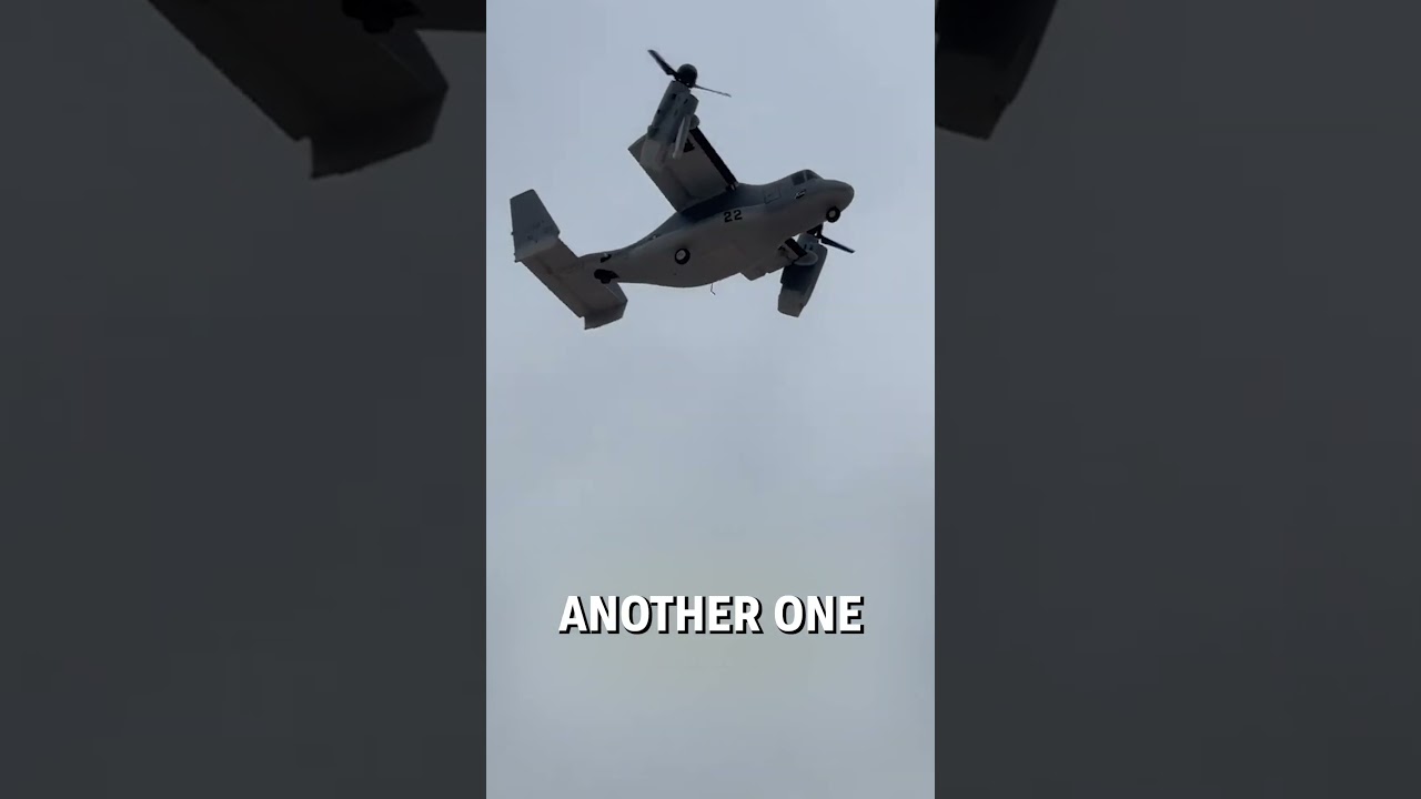 Amazing RC Plane Collection! ✈️