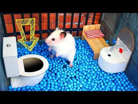 🐹 Hamster Escapes the Creative Maze for Pets in real life 🐹 in Hamster Stories