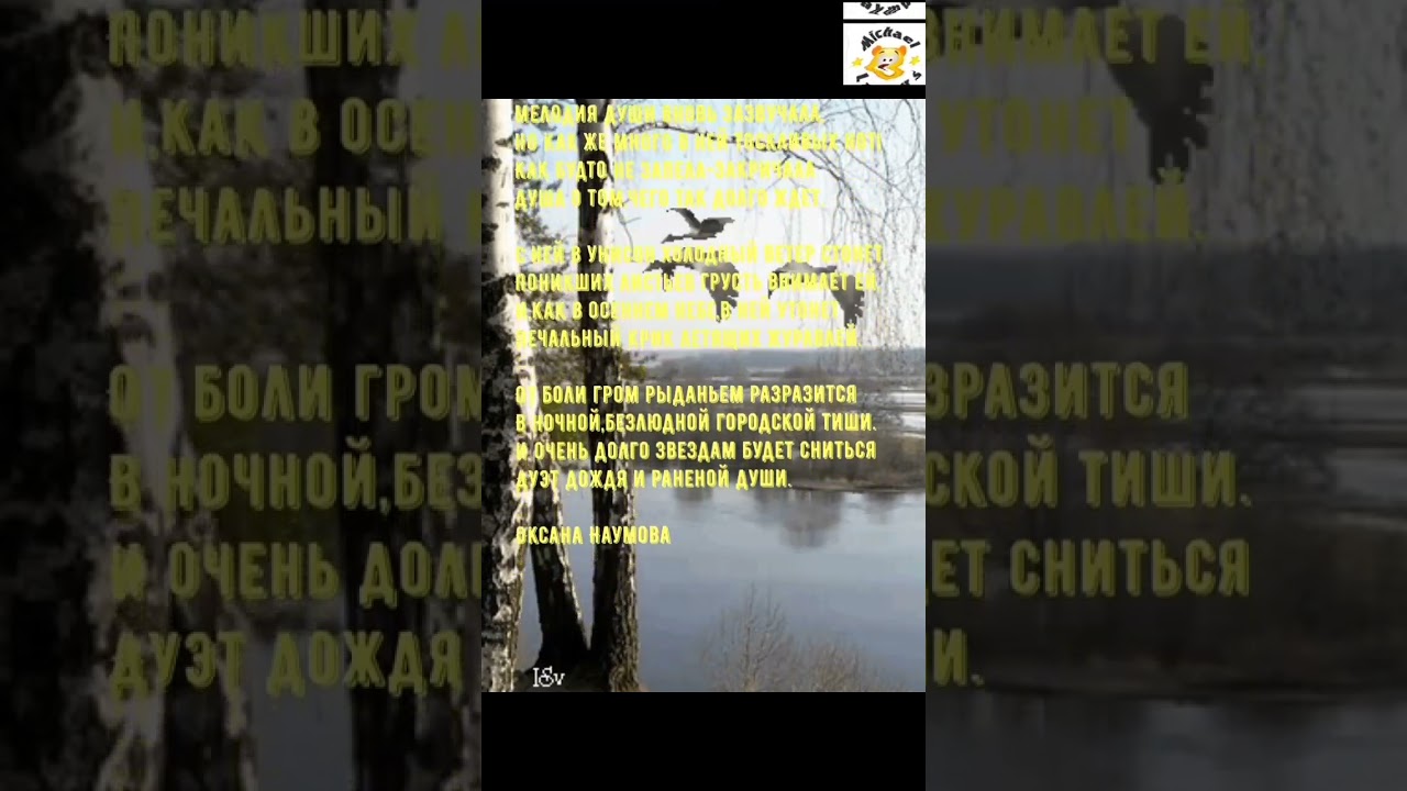 Мелодия души: поэзия и вдохновение 🎶