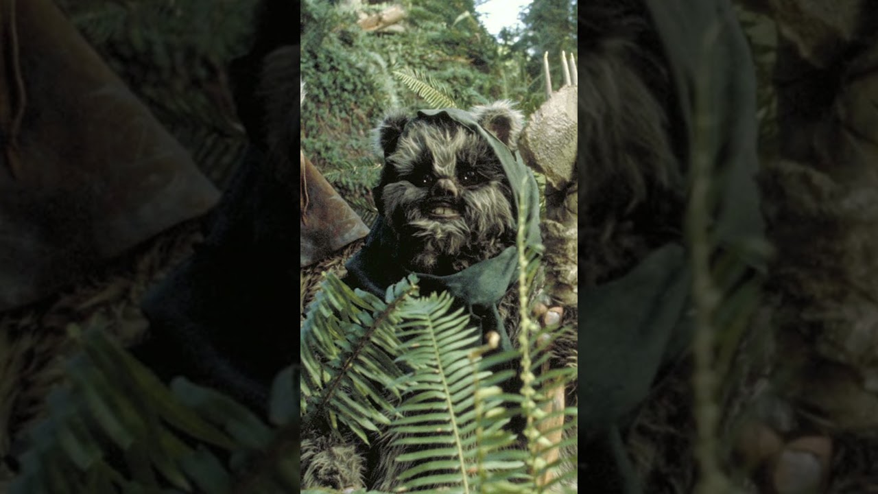 Les Ewoks parlent un mélange de langues dans Star Wars