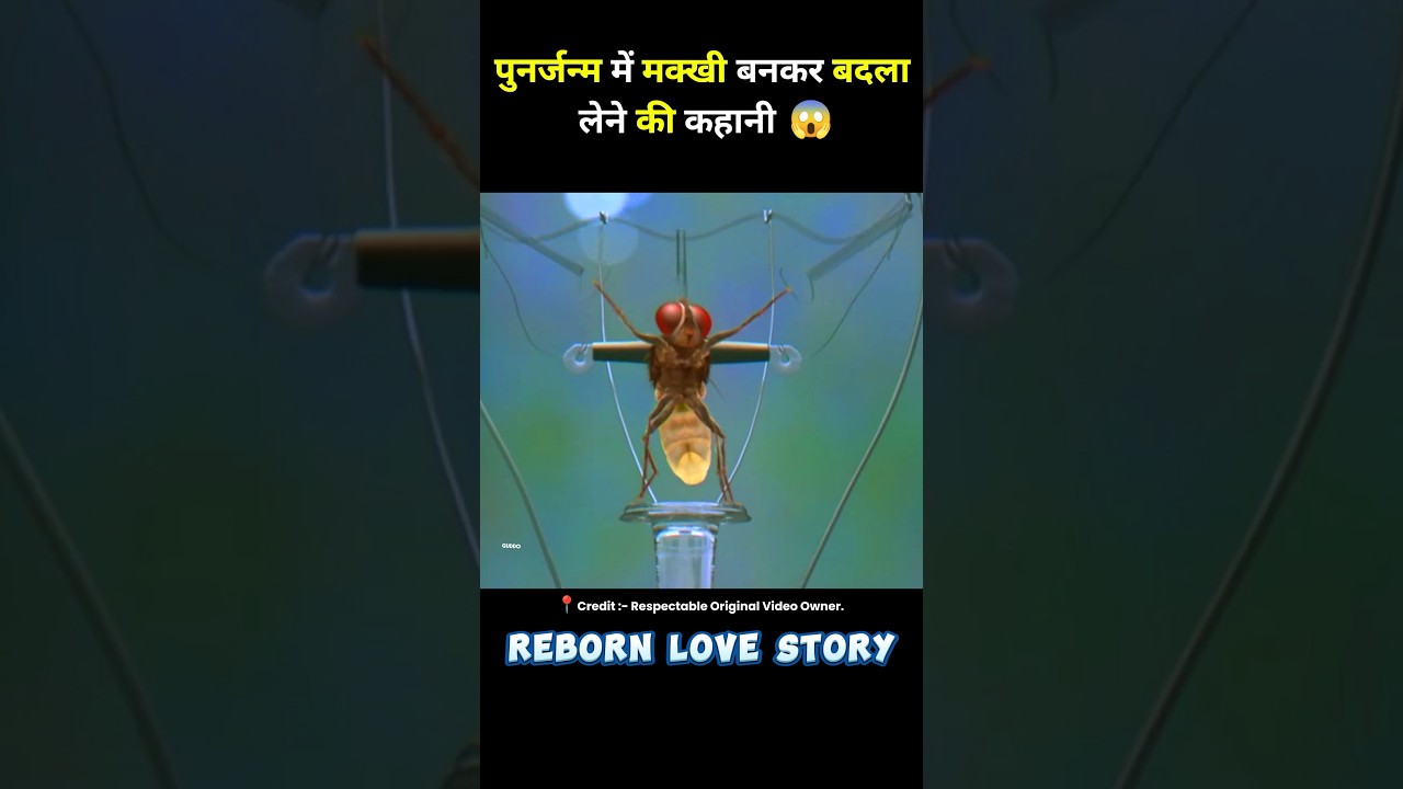 South Movie Makkhi Hindi Dubbed Full Film π¬