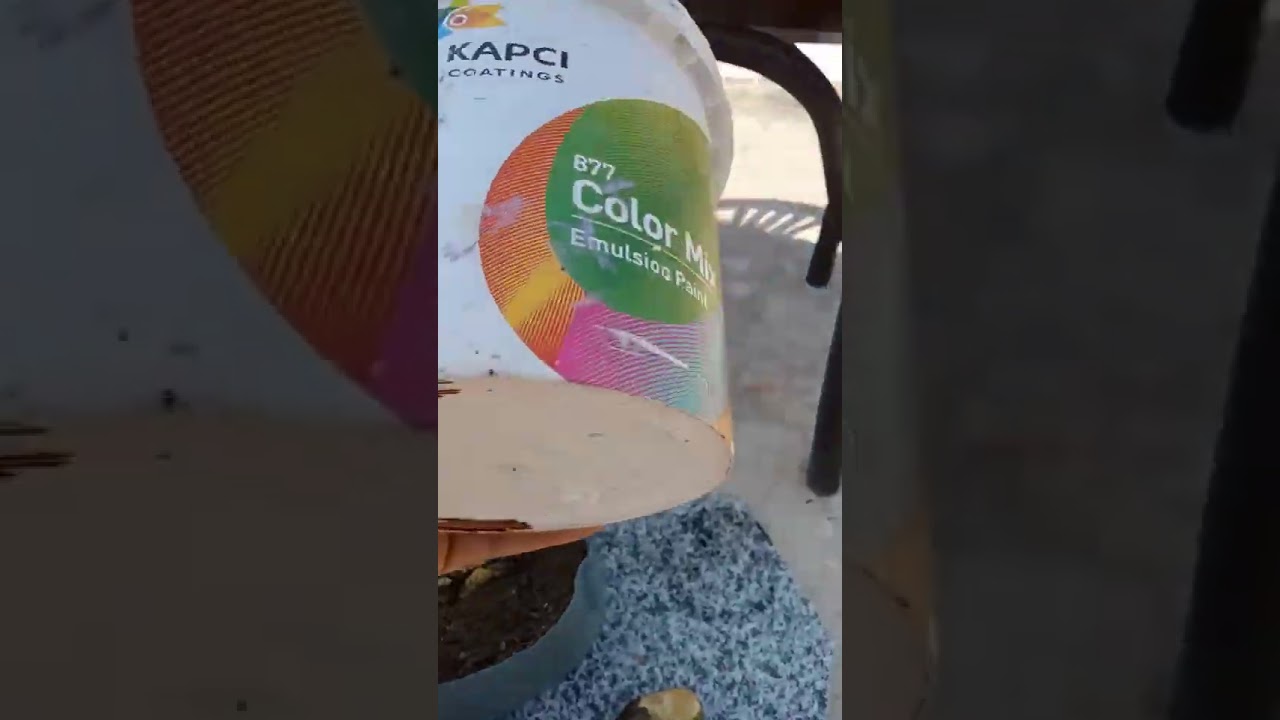 طريقة سهلة لزراعة المانجو من البذرة في المنزل والحديقة 🌱