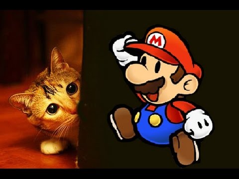 MARIO FAIT PEUR AUX CHATS - PAROLE DE CHAT