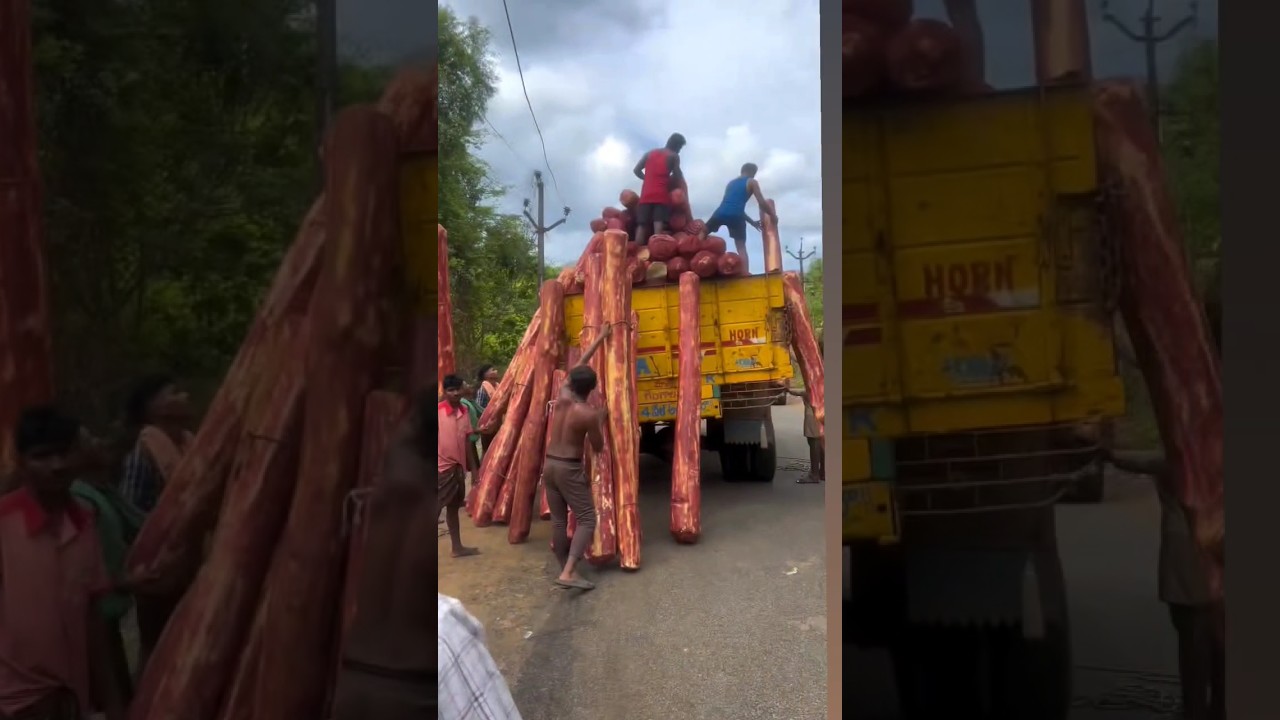 Exclusive Update: Pushpa 2 Filming Underway in Hyderabad ๐ฌ