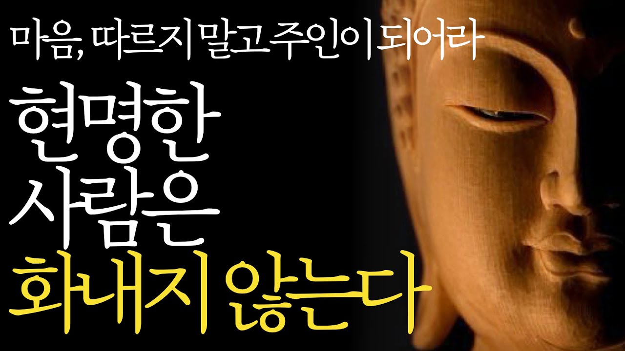 부처님 말씀으로 배우는 인생지혜 🧘‍♂️ 마음 다스리기와 현명한 삶의 비결