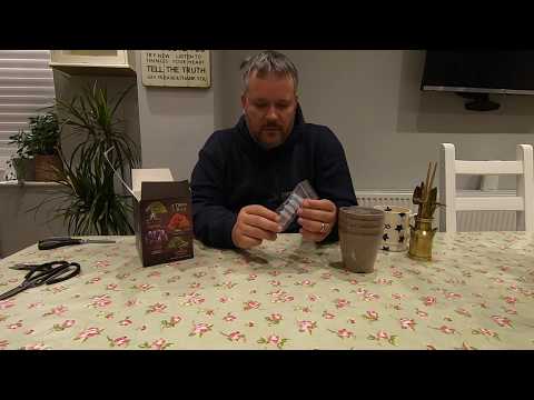 Planters Choice Bonsai Starter Kit Episode 1 - October 2019