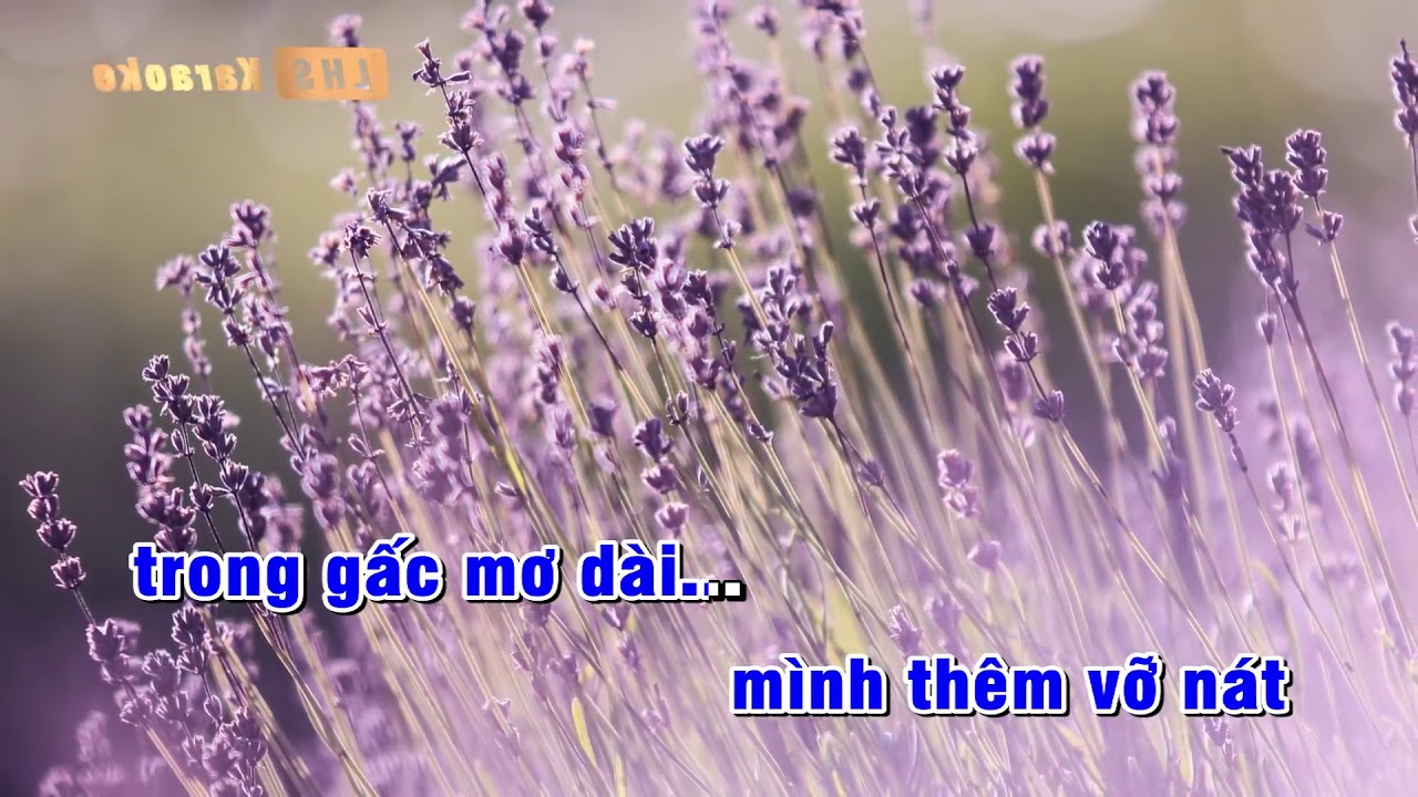 Karaoke Một Thuở Yêu Người (Nam Tông)