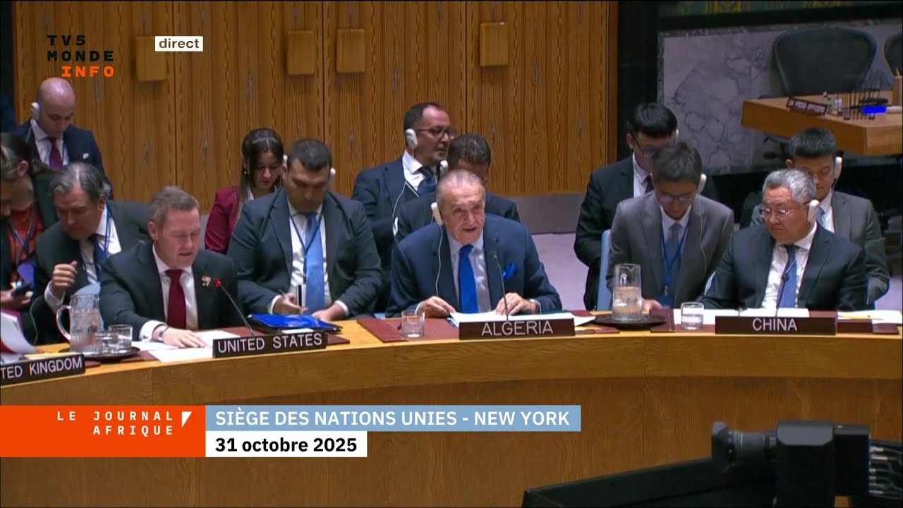 Sahara Occidental : l'ONU valide le plan d'autonomie marocain 🇲🇦