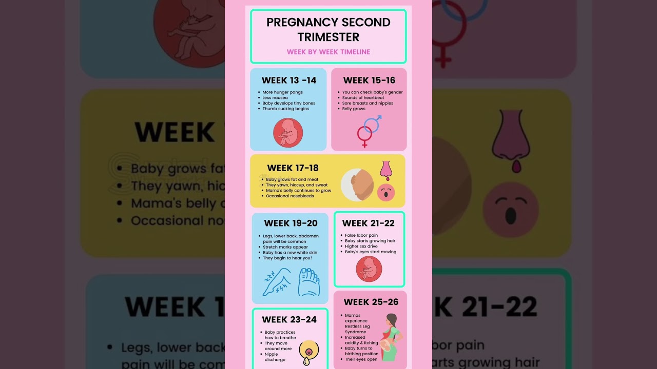 Pregnancy Second Trimester #pregnancy #pregnancyweekbyweek #pregnancyjourney