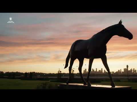 Welcome to Australian Guineas Day
