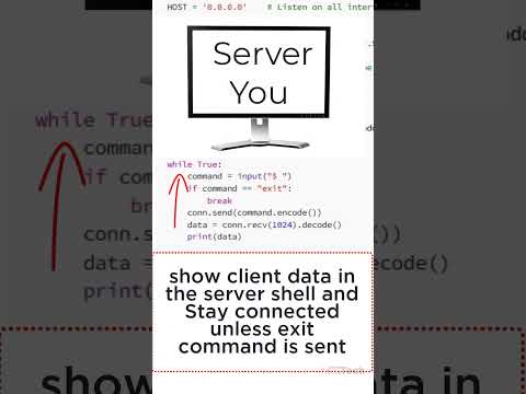 Python Shell - Share Files - Pentest - in less than 18.9 seconds