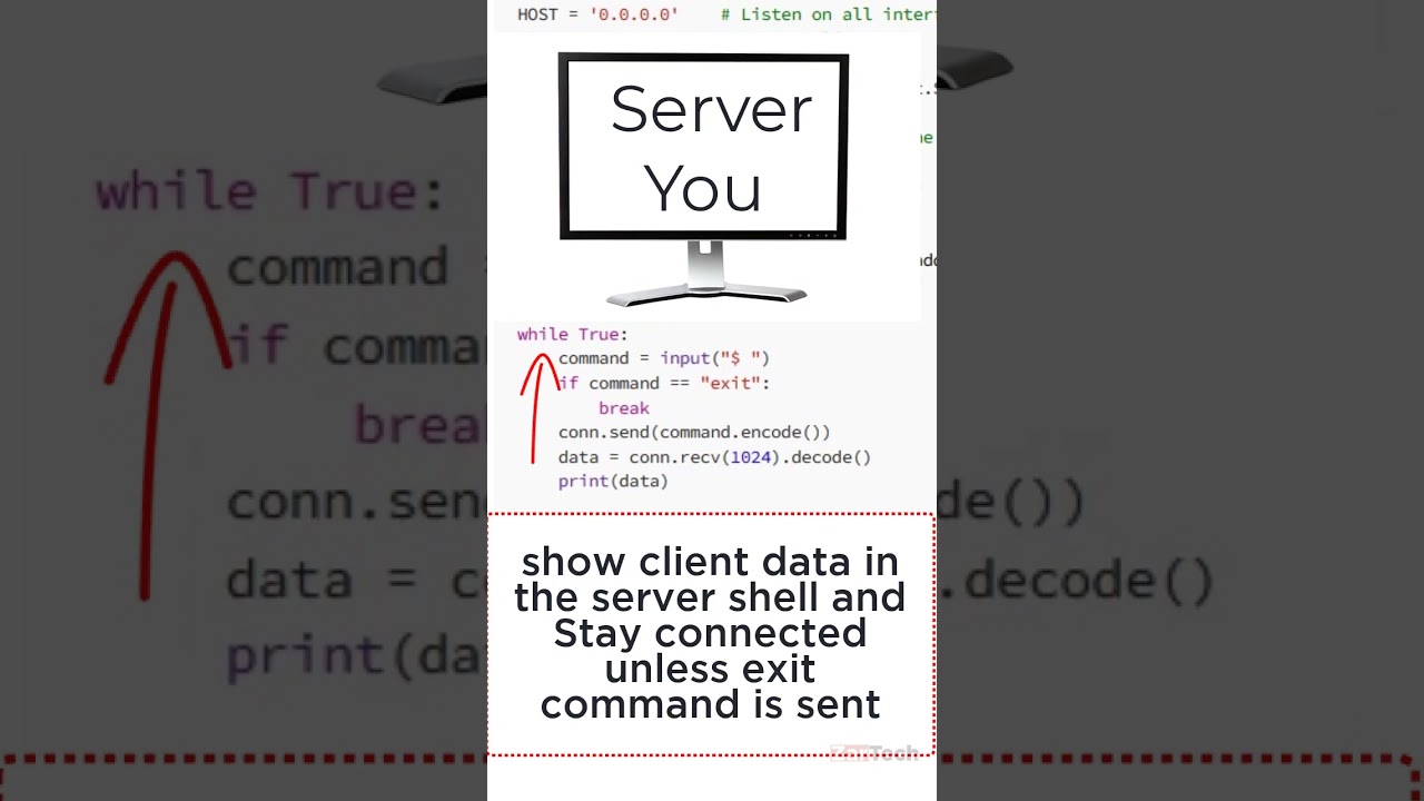 Python Shell for Fast File Sharing in Under 18.9 Seconds