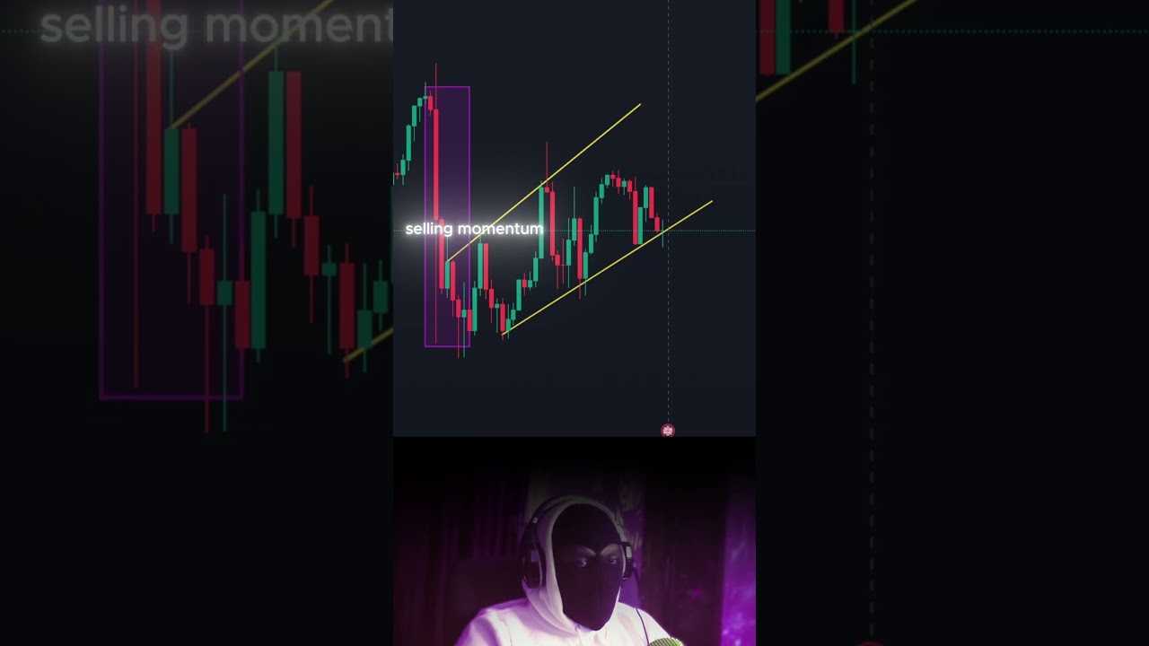 Top Forex Trading Tips for Beginners π