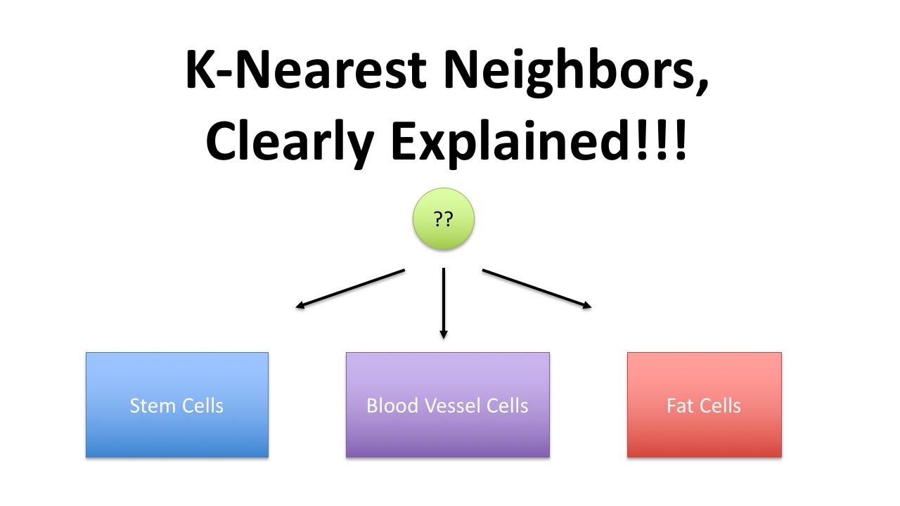 StatQuest Simplifies K-Nearest Neighbors Algorithm 🧠