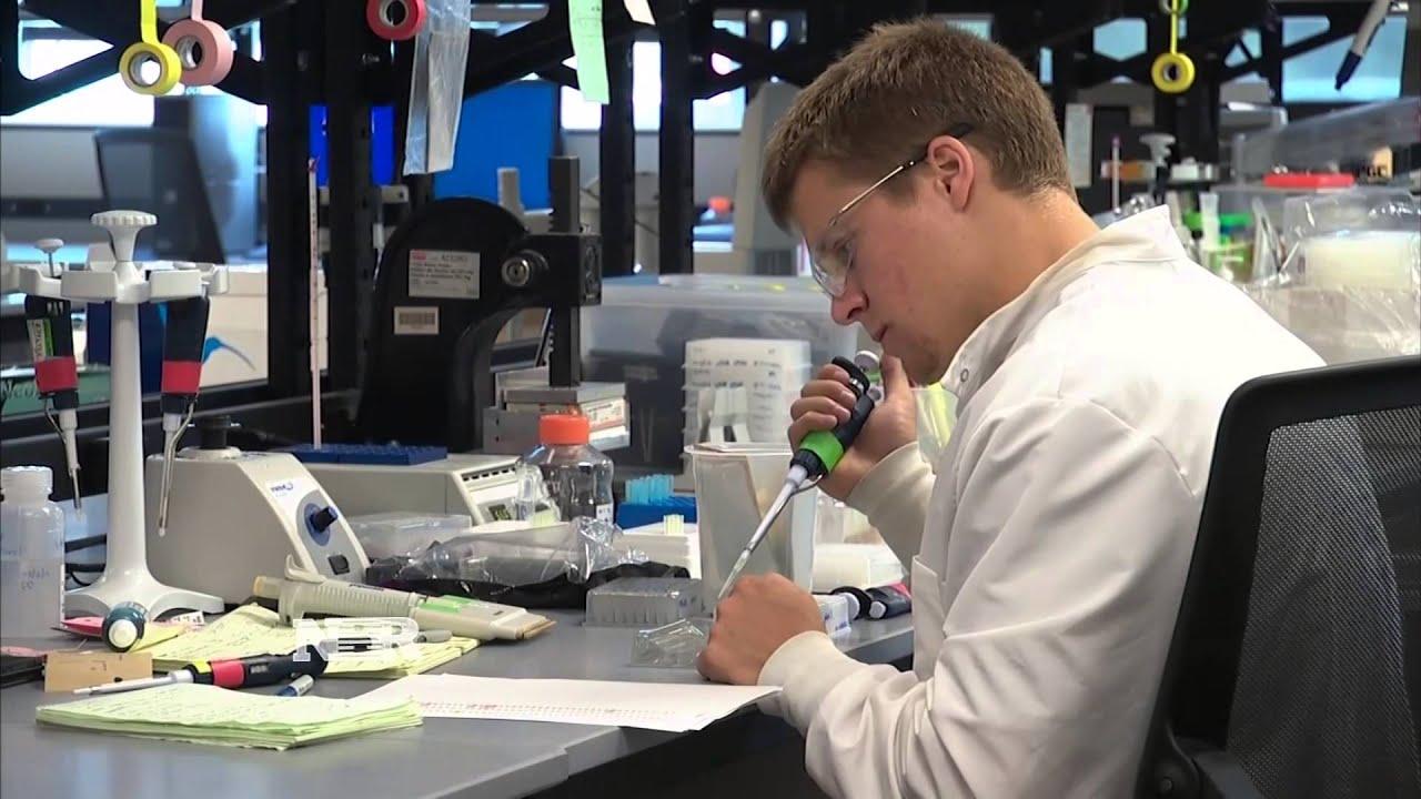 Nightly Business Report: Stocks Rebound & FedEx Scandal π