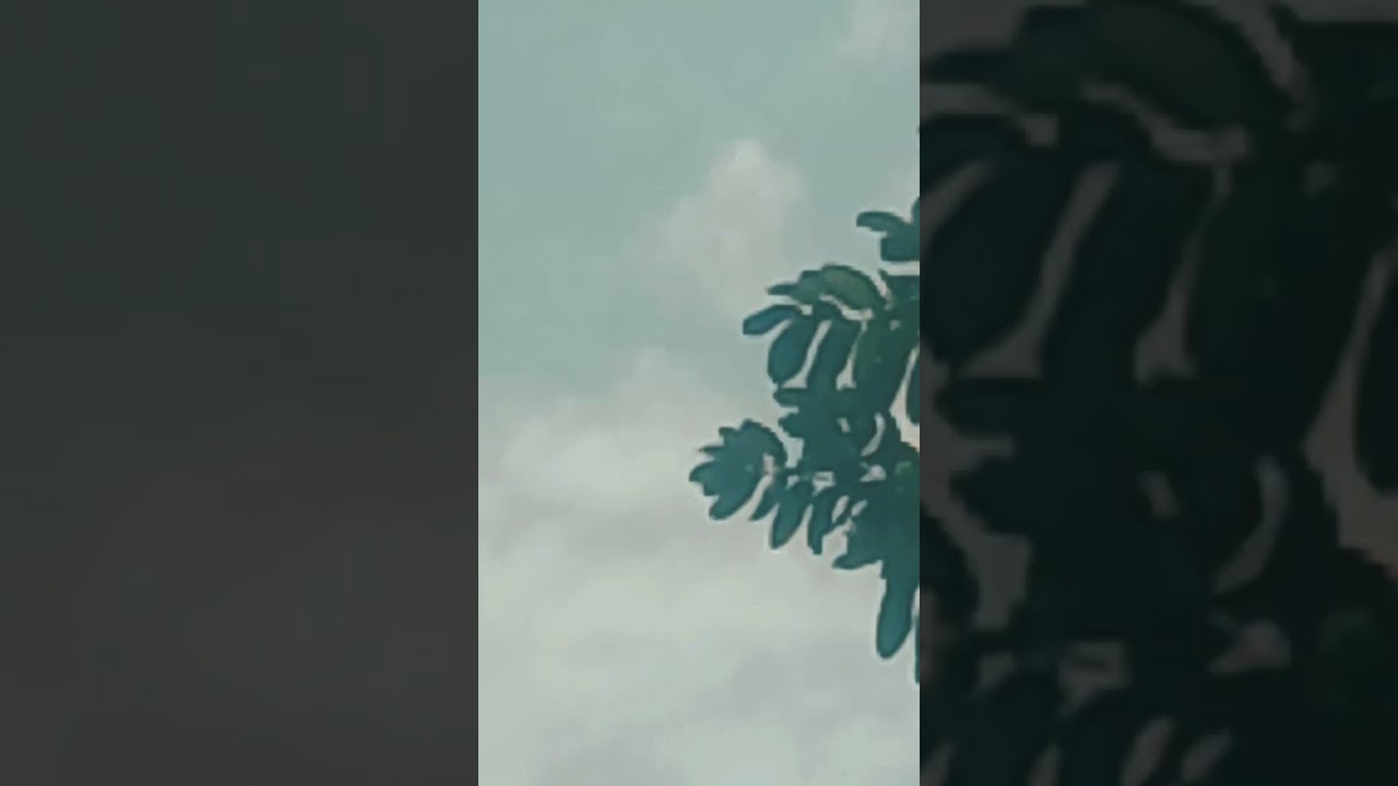 Event Scheduled for April 4, 2024 📅