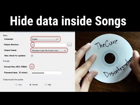 Hide Secret Data Inside an Audio or Image | Steganography Tutorial By Faizan Ali