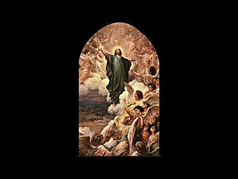 Playboi Carti - Cult Classic(prod.ta2cute) *Extended Version*