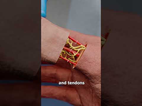 Surgeons Turned His Toe Into A Thumb ๐ฎ