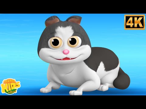 Billi Karti Meow Meow, Kalu Madari Aaya + More Hindi Nursery Rhymes for Kids, हिंदी कविताएँ