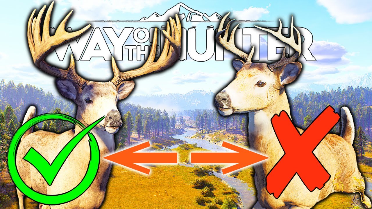 What to Shoot and What Not to Shoot Guide | Way of the Hunter