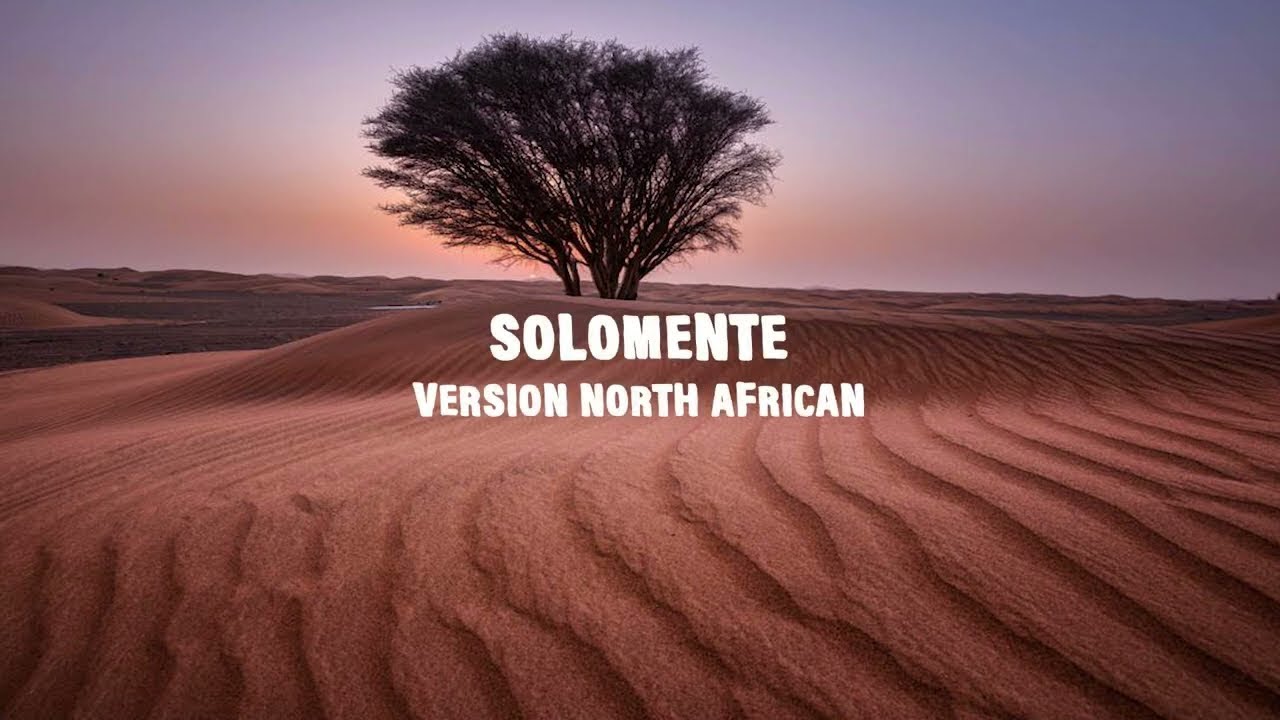 Didine Canon 16 X LARGO Solomente (North African Remix) 🎶 | Lyrics & Official Video