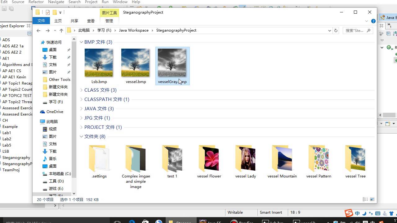 Demonstrations of Steganography Techniques: LSB and BPCS