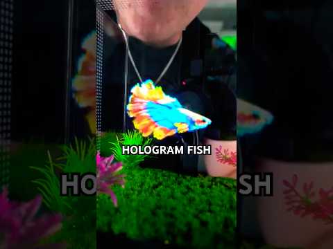 World’s First REAL Hologram Fish Tank