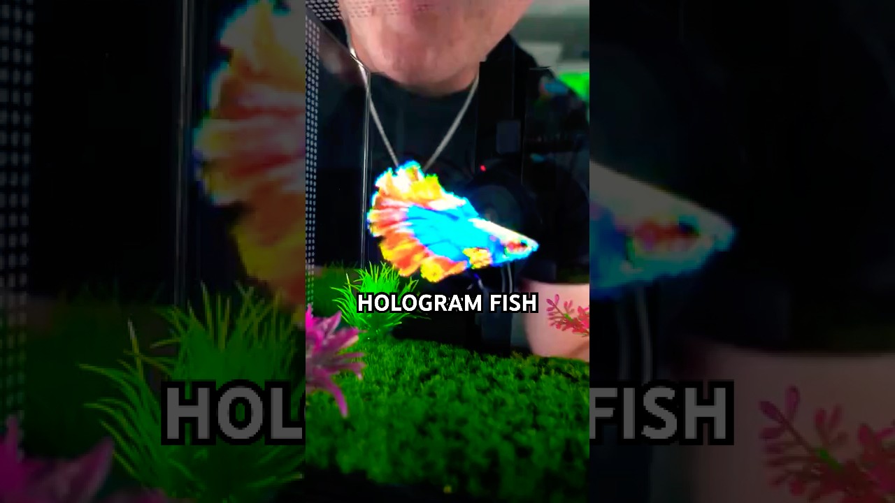 World's First Real Hologram Fish Tank 🐟
