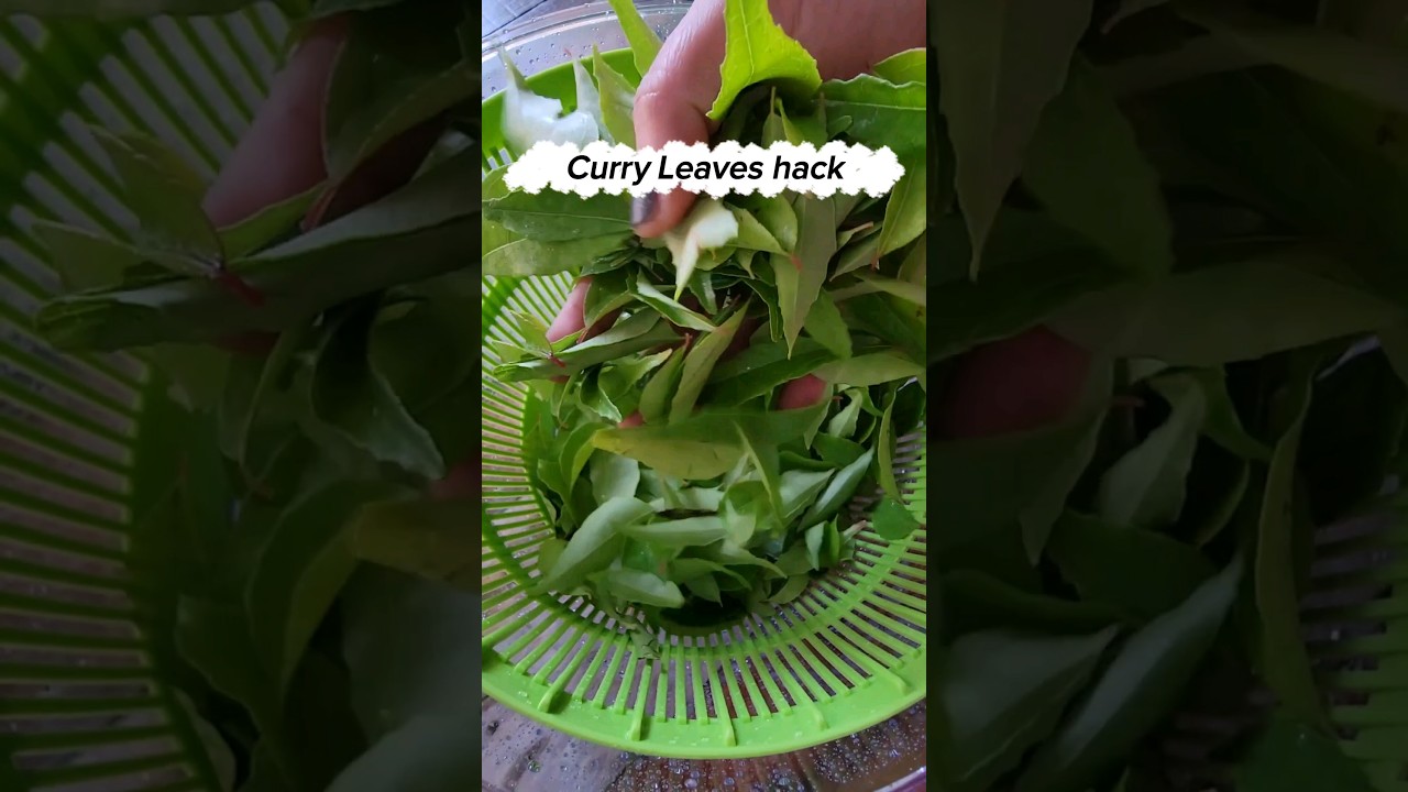 How to store curry leaves fresh for months in fridge #shorts