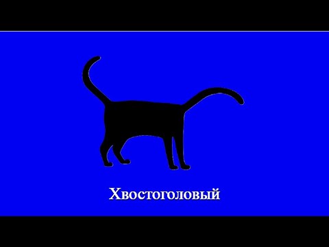 Хвостоголовый / Главное управление МЧС России по Морскому Автономному Округу