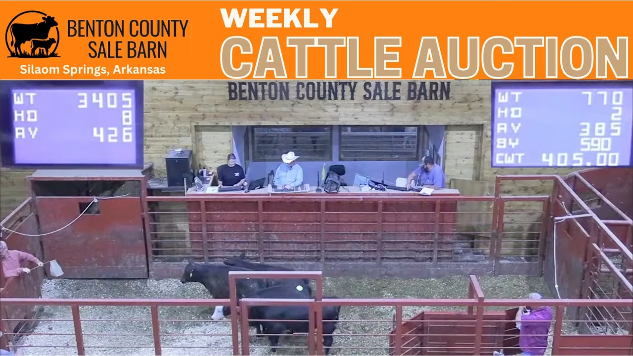 Benton County Sale Barn Live | Siloam Springs, May 21, 2026