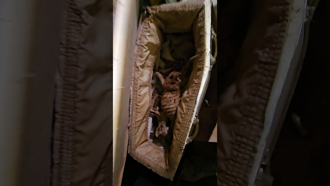 Exploration de la maison abandonnée la plus flippante 🔥