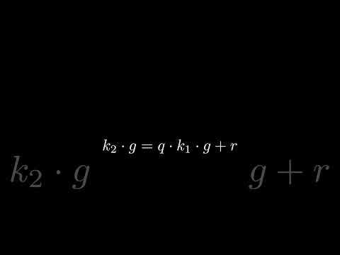 How to NOT get bullied by cryptographers #shorts #mathematics #maths #cryptography #euclidean