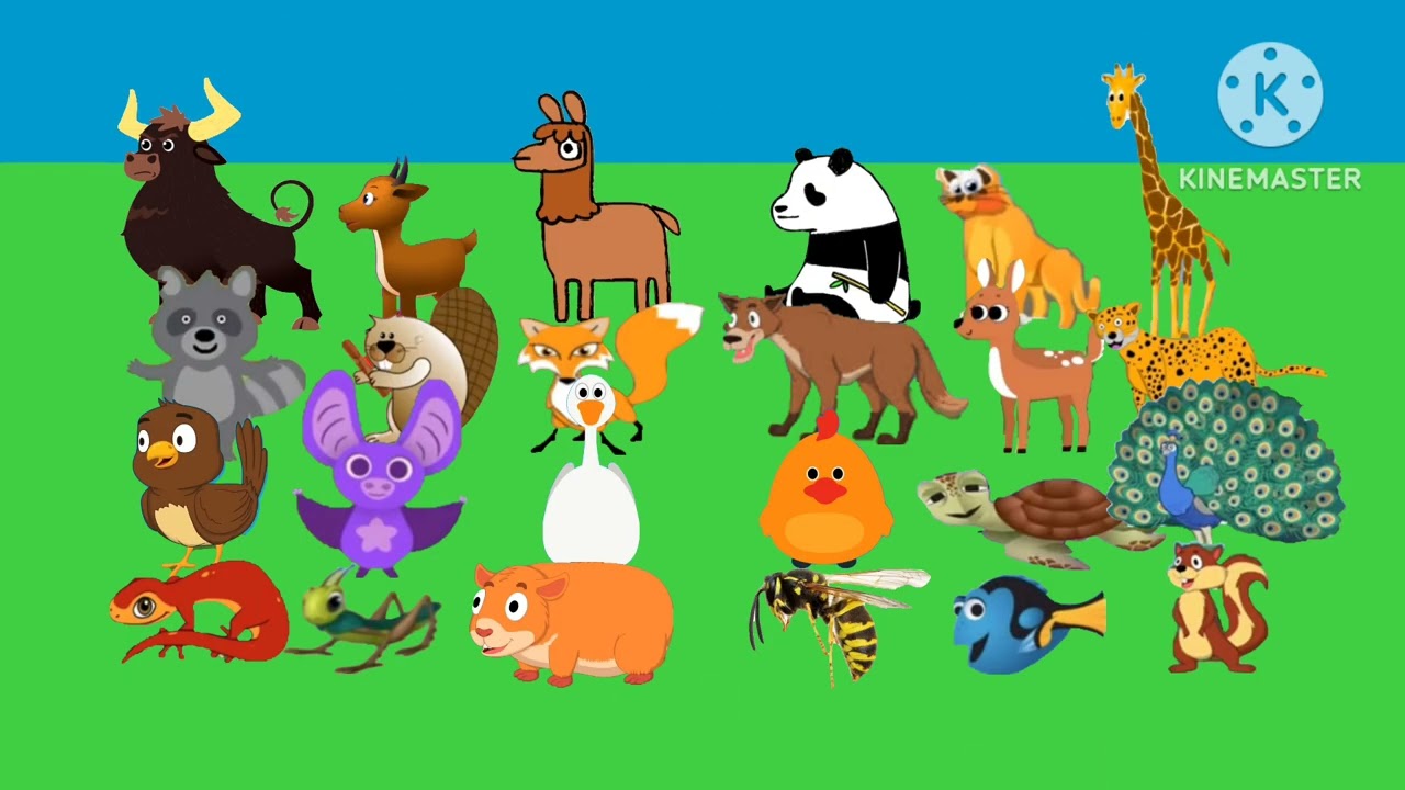 Exciting New Animal Sounds Song ABC for Kids 🎶 Coming Soon!