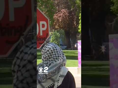 Idaho Governor: 'Idaho is not Portland' 🚫