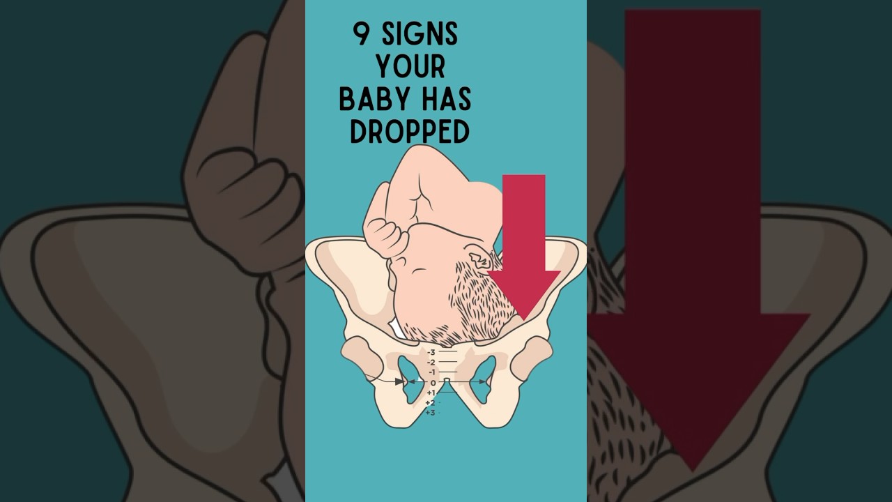 Baby Dropping Signs πΆπ»πΆπΌπΆπ½