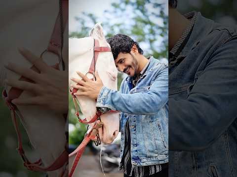 Humans don’t remember but animals never forget!!😍❤️ #azmaik #reality #humanity #hearttouching