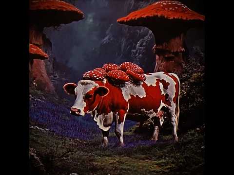 If minecraft was a 1970s Dark fantasy film part 2 #memes #minecraftshorts #darkfantasy