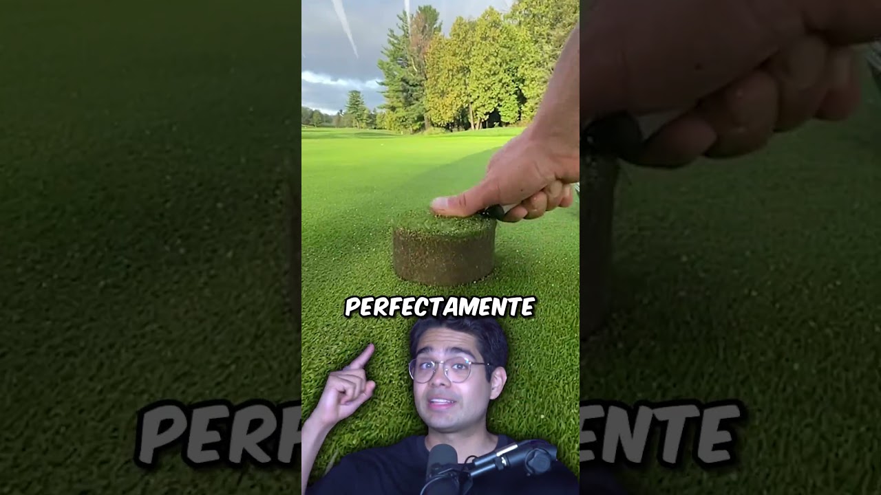 Así Se Mantienen Impecables Los Campos De Golf
