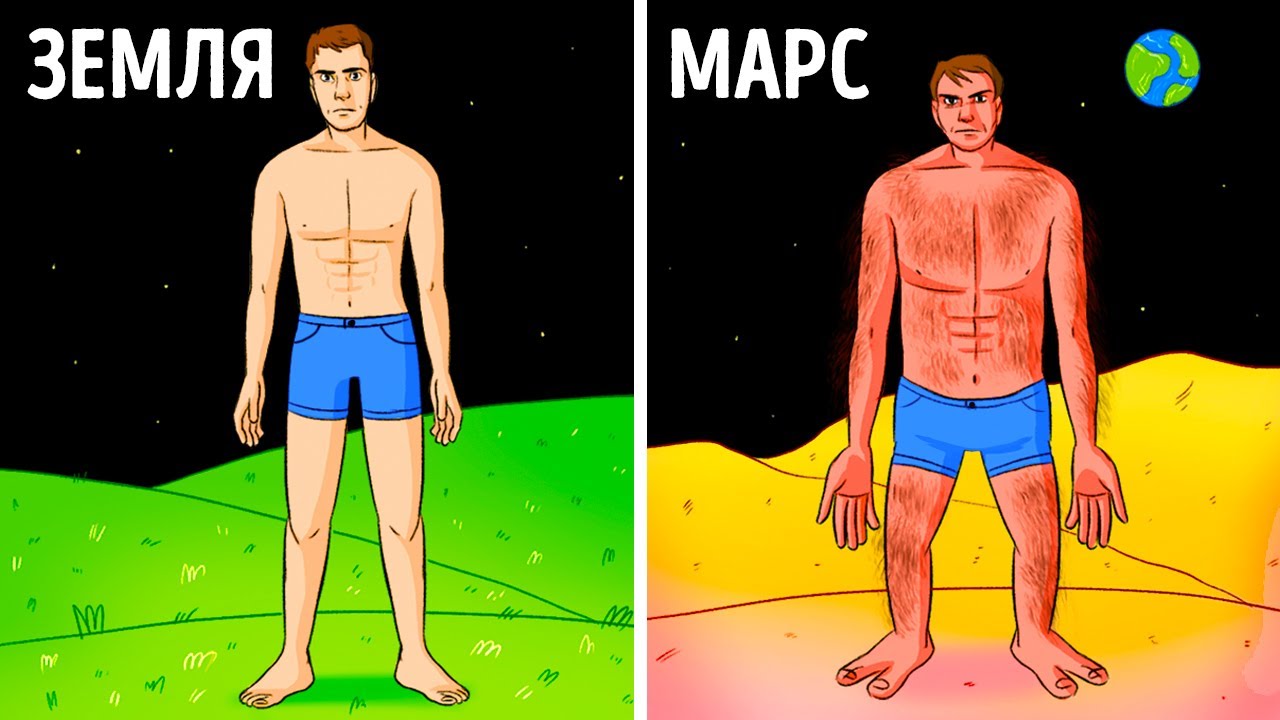 Тело на других планетах и 3D-факты 🌌