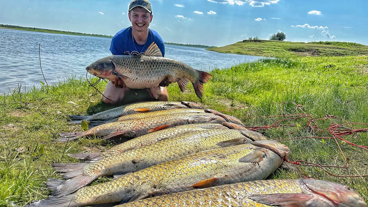 Трофеи 20+ на Волге! Рыбалка в Астрахани 2024 🎣