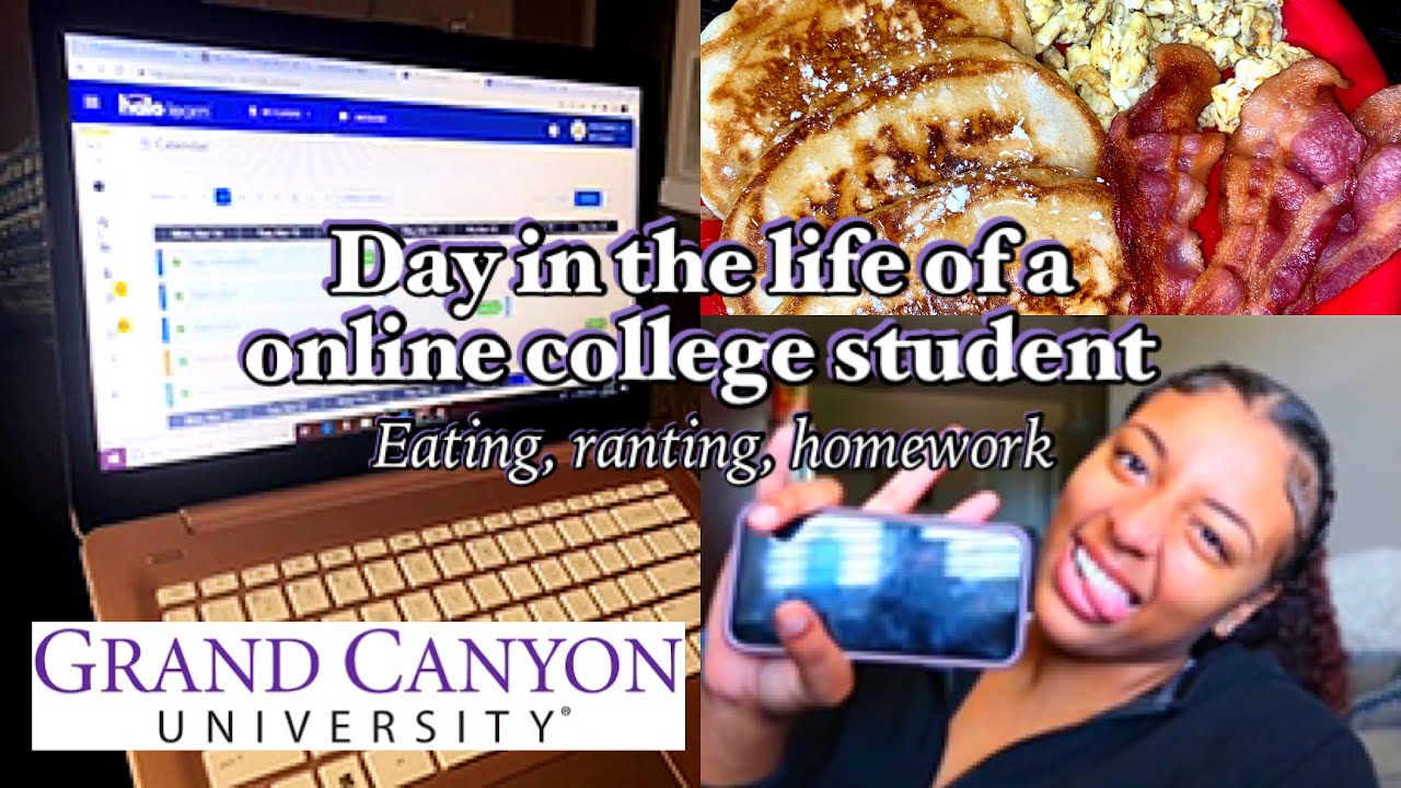 A Day in the Life of an Online College Student 📚