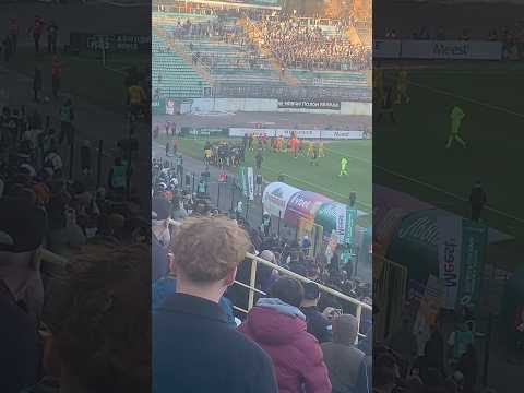 Карпати-Рух бійка у львівському дербі